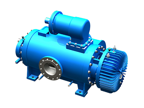 广东2W.W型双螺杆泵